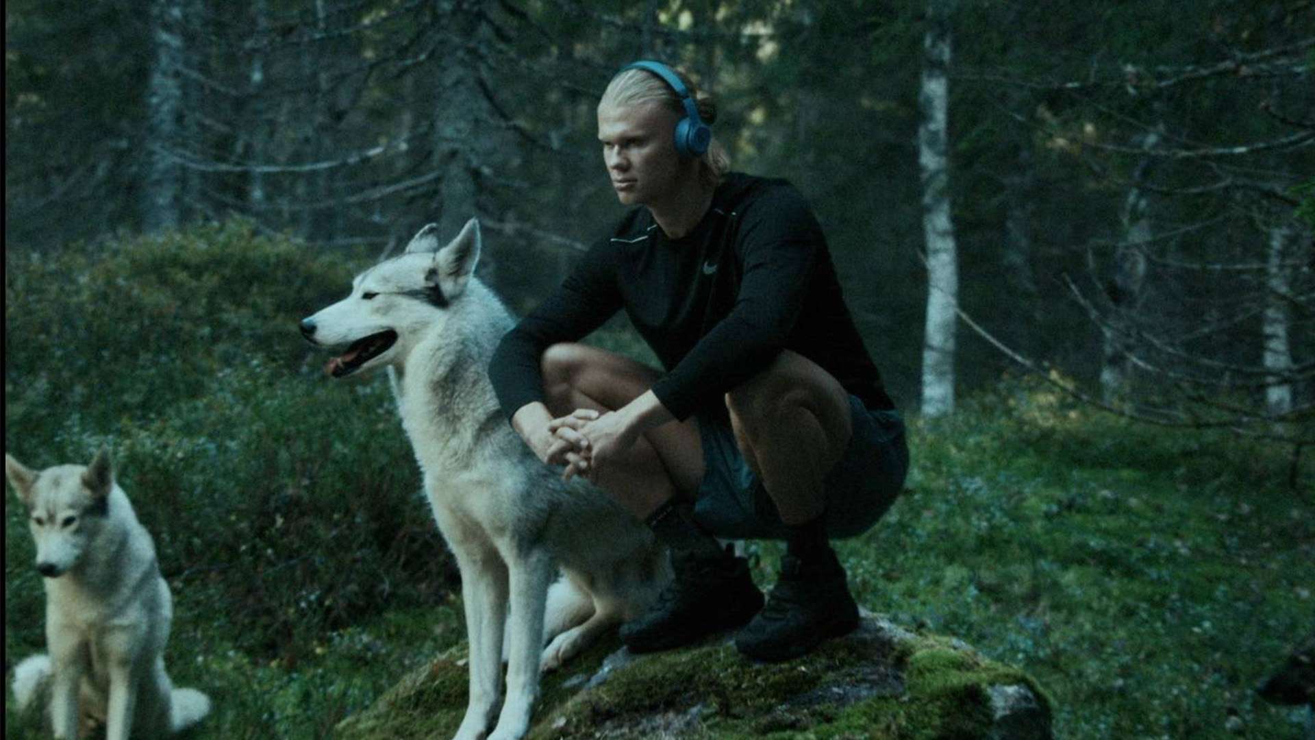 獨特地位